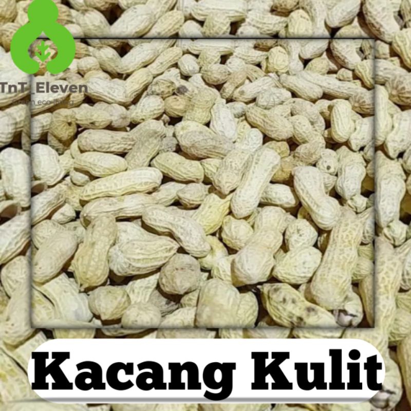 

Cemilan Kacang Kulit 100gr