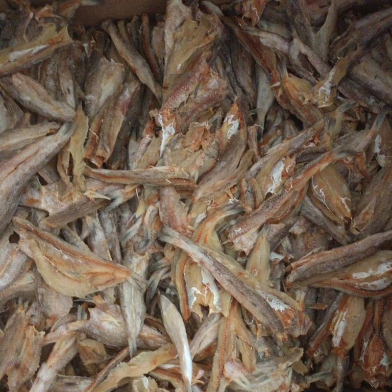 

ikan asin bloso/gabus laut per 1kg