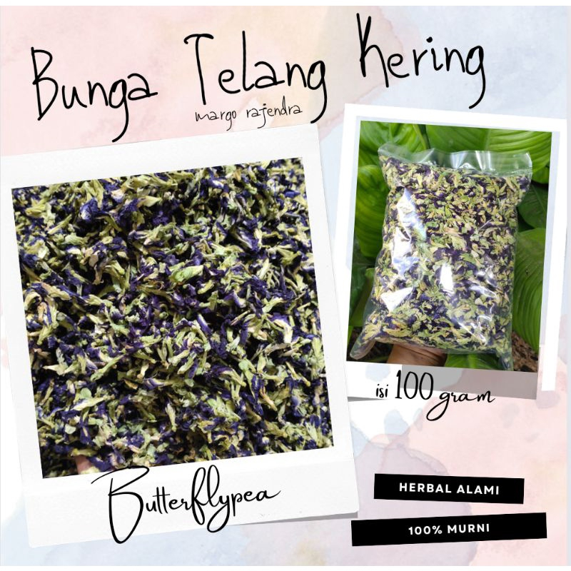 

MENARIK!!! Teh Bunga Teh Butterflypea Organik Kering 100gr