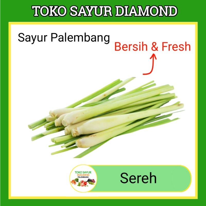 

Sereh Serai Per Ikat