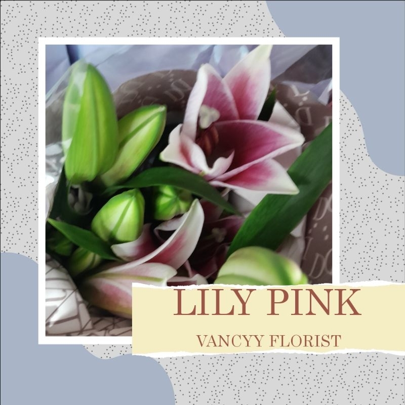 Bunga Lily Pink / Bunga Fresh Batam / Bunga Lily Potong Fresh / Bunga Lily Fresh / Bunga Lily Vancyy