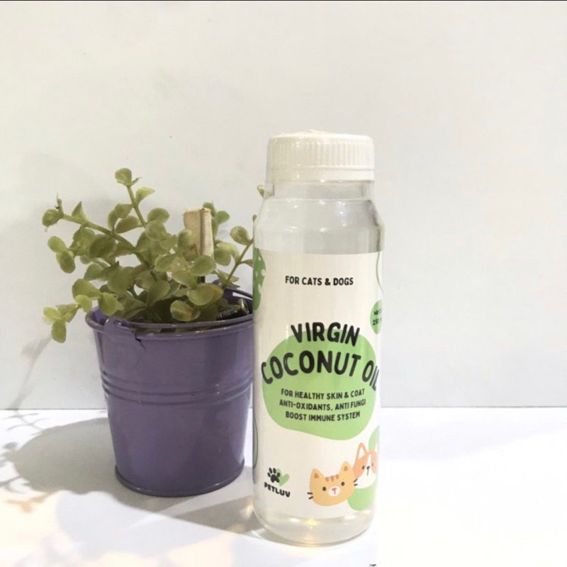 Petluv Virgin Coconut Oil (VCO) / Minyak Kelapa Anjing Kucing - 100ml