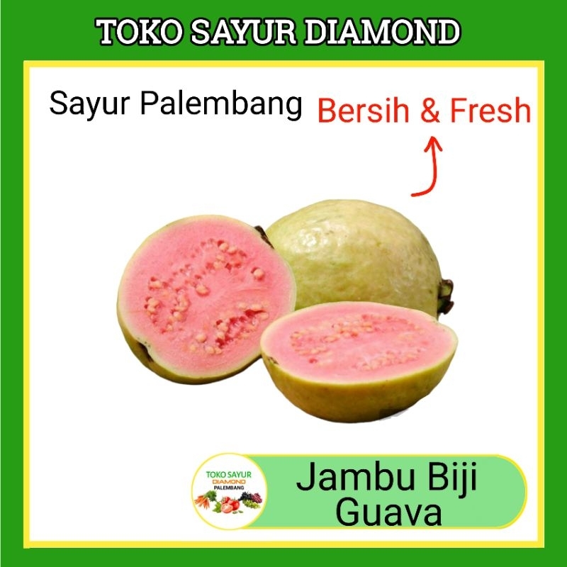 

Jambu Biji Guava 250 Gram - Palembang