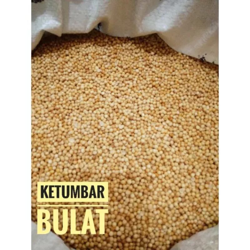 

Ketumbar Bumbu Dapur Biji Tumbar bulat utuh