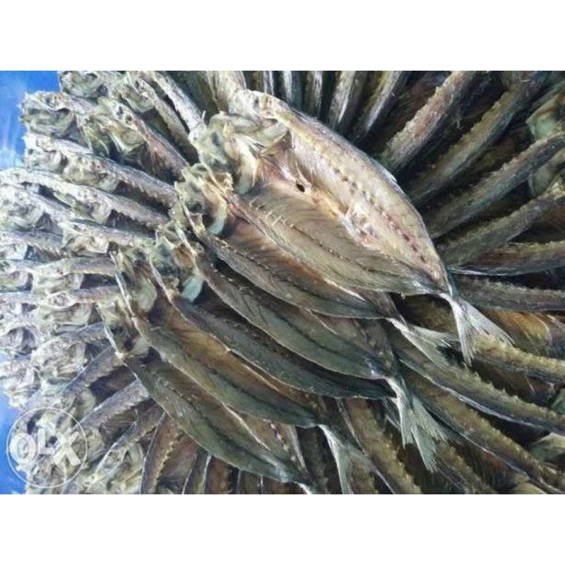 

ikan kering sarden(ikan kaben)