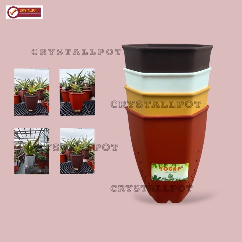 POT BUNGA TANAMAN TINGGI YOGAP 15 SEGI 6 WARNA WARNI - YOGAP YP6 15