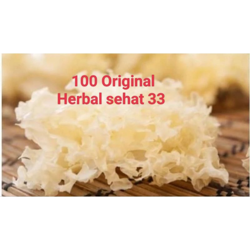 

yin er yiner jamur putih kering white fungus 1 buah 20g+ premium