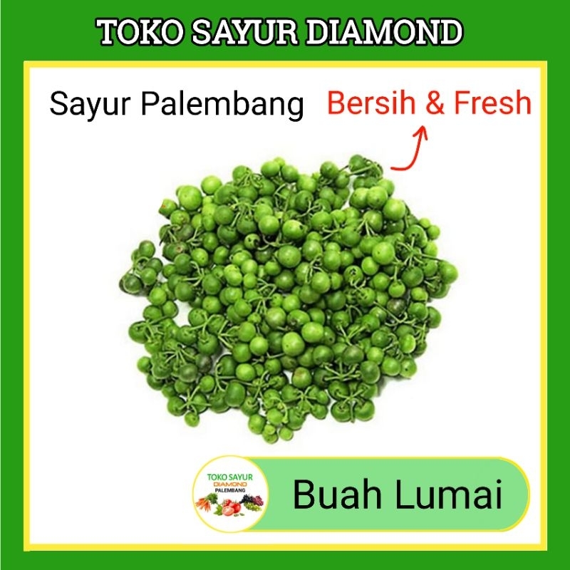 

Buah Lumai Lumay - Sayur Sayuran Segar Palembang