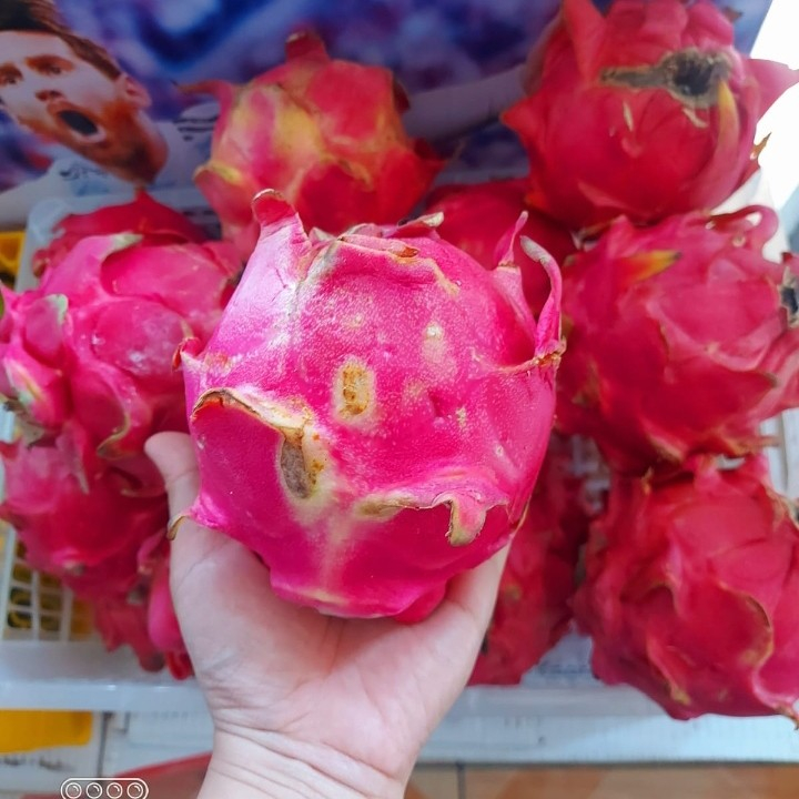 

Ay00! Buah Naga Manis dan Fresh 1 kg