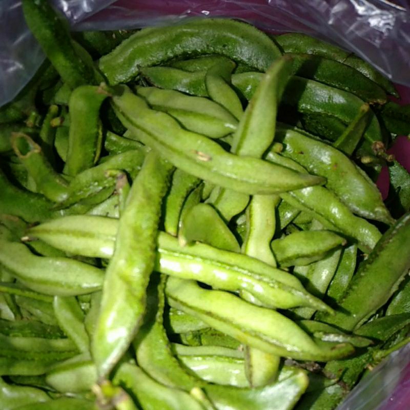 

Sayur Koro Uceng segar
