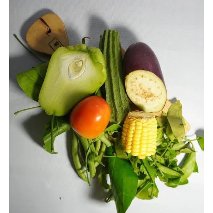 

PAKET SAYUR LODEH