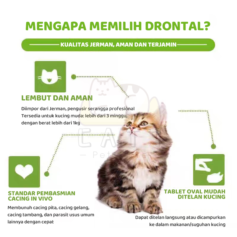 DRONTAL CAT Asli Original Obat Cacing Kucing Anak Kitten Ampuh Murah Tablet Ori Stop Worm Untuk Cats Dewasa Kiten Cacingan Bukan Cair