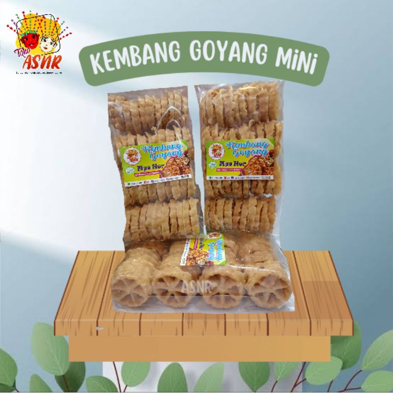 

kembang goyang mini Mpok Nur [PENGIRIMAN INSTANT,SAMEDAY KEMASAN PLASTIK, REGULER TOPLES]