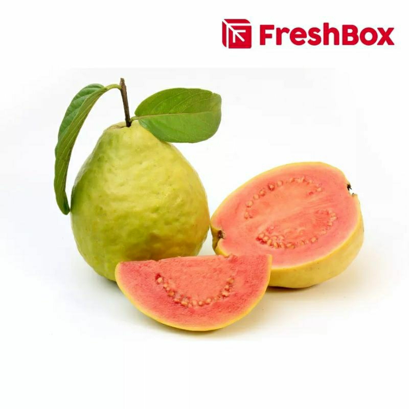 

JAMBU BIJI MERAH RED GUAVA 500 GRAM FRESH BOX