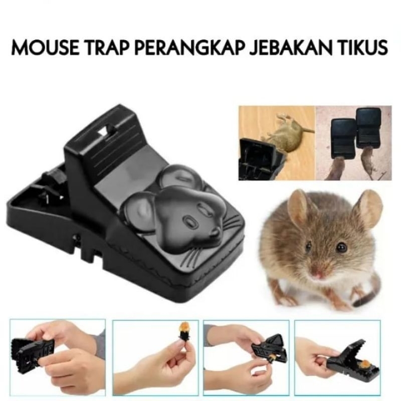 Jebakan Tikus Anti lolos | Mouse Trap | Jepitan Tikus