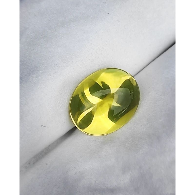 KECUBUNG KUNING - KECUBUNG LEMON BORNEO