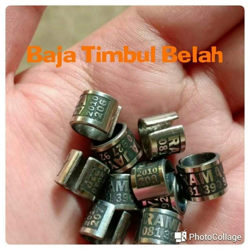 untuk 10 Ring merpati Dewasa Baja Timbul Belah