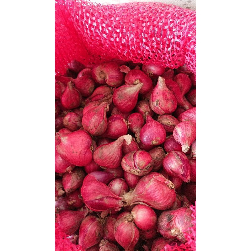 

Bawang Merah Brebes (Asli Brebes) 500g