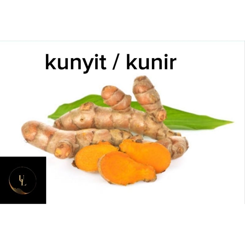 

kunyit / kunir segar