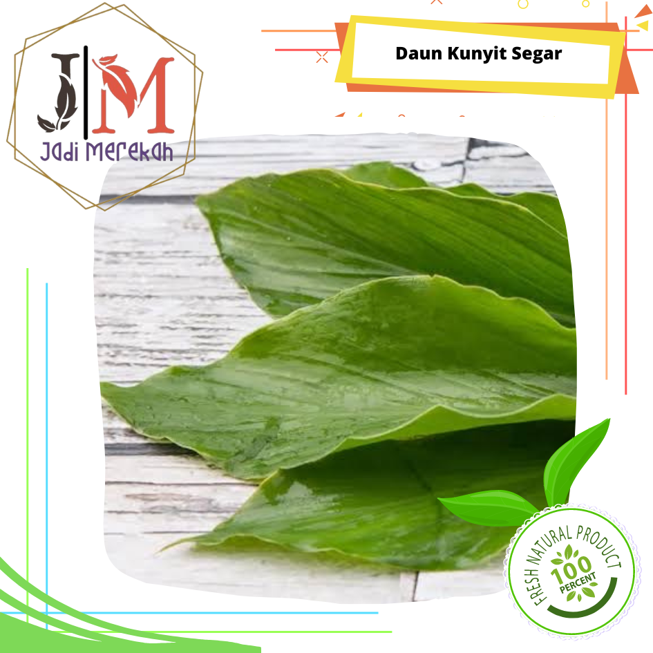 

[JM SoFresh] - Daun Kunyit Segar