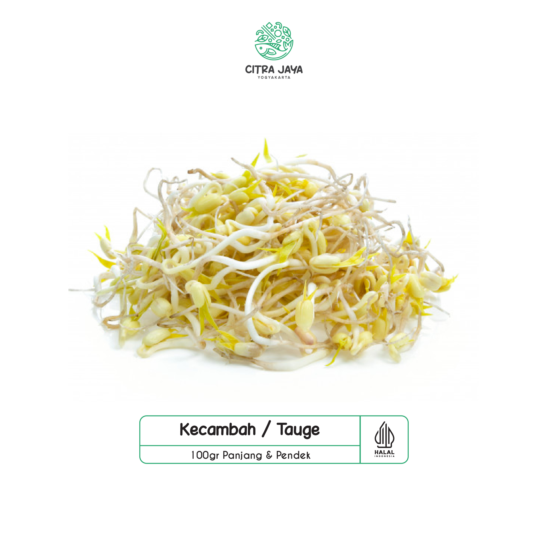 

Tauge Kecambah Panjang / Pendek 100g - Citra Jaya Yogyakarta