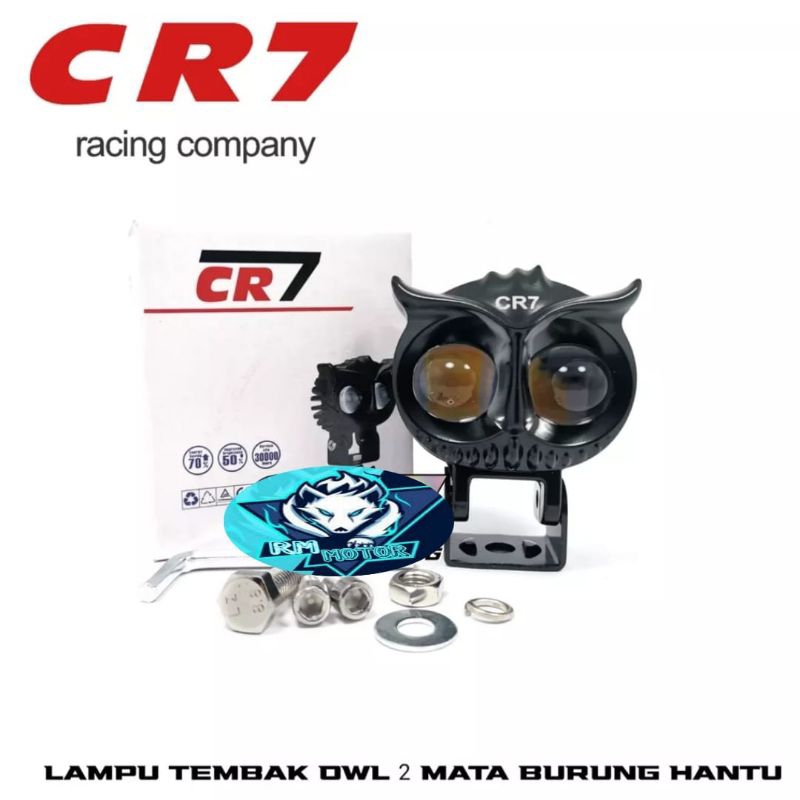 Dijamin terang Lampu tembak Laser LED D2 OWL laser 2 warna