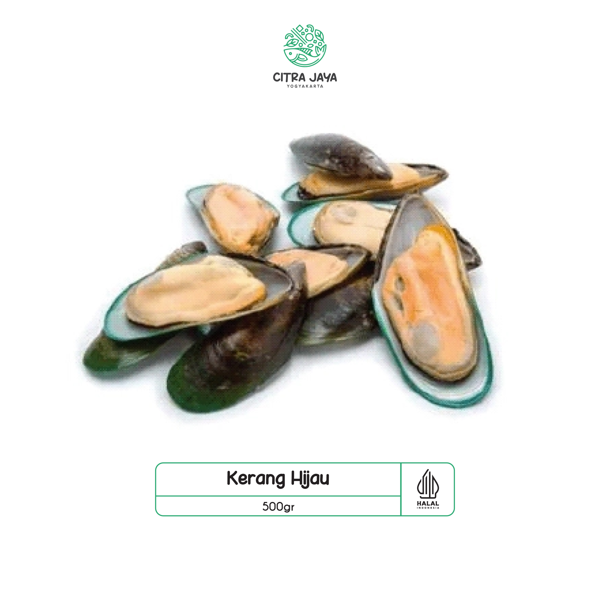 

Kerang Hijau 500g - Citra Jaya Yogyakarta