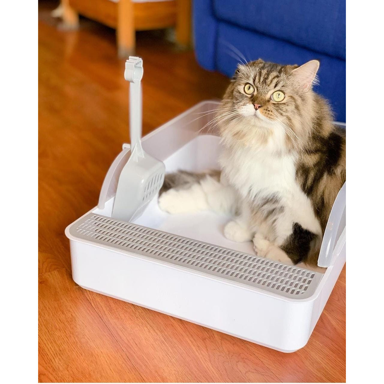 Litter Box Tempat/Box Pasir Kucing Arthacat - Besar
