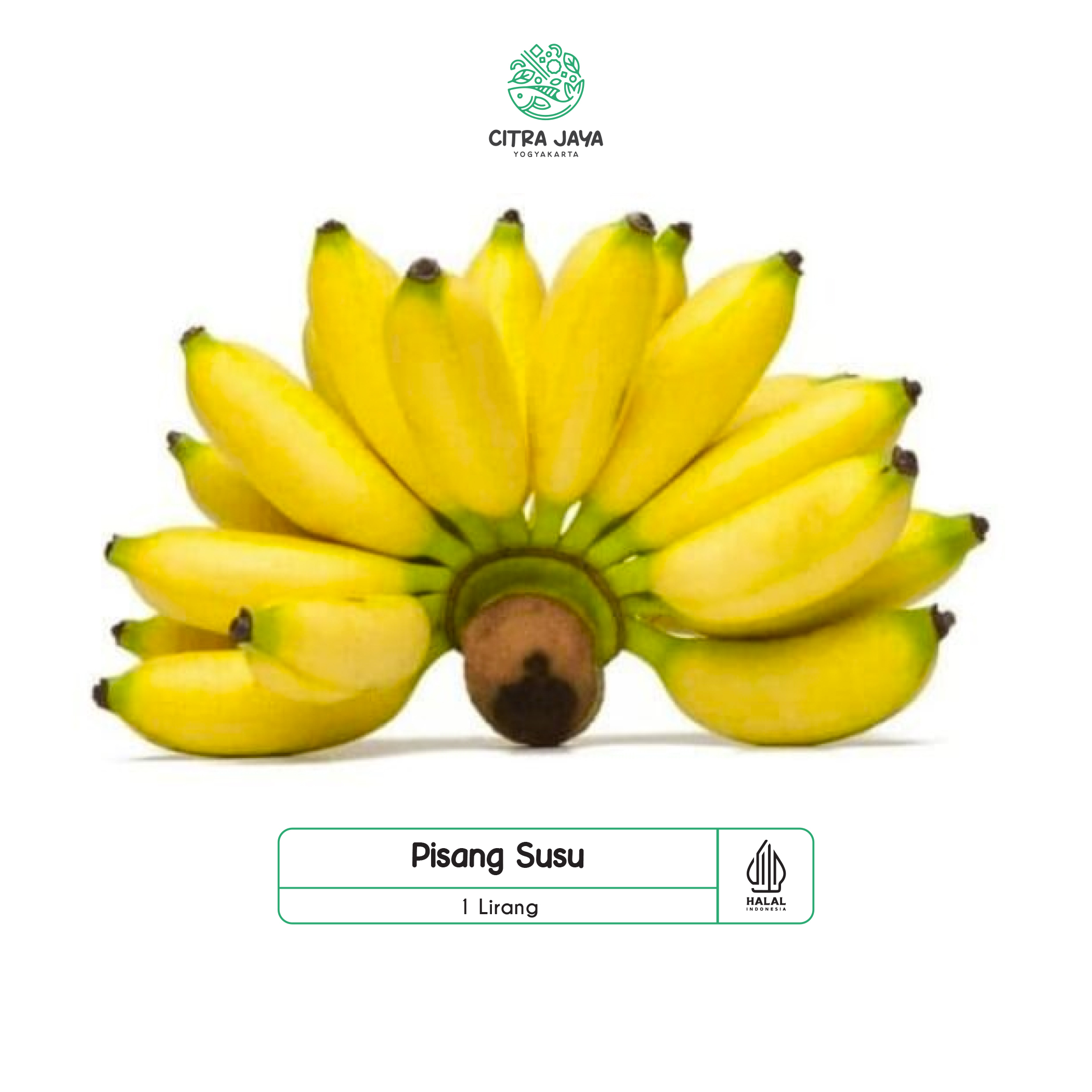 

Pisang Susu 1 Lirang - Citra Jaya Yogyakarta