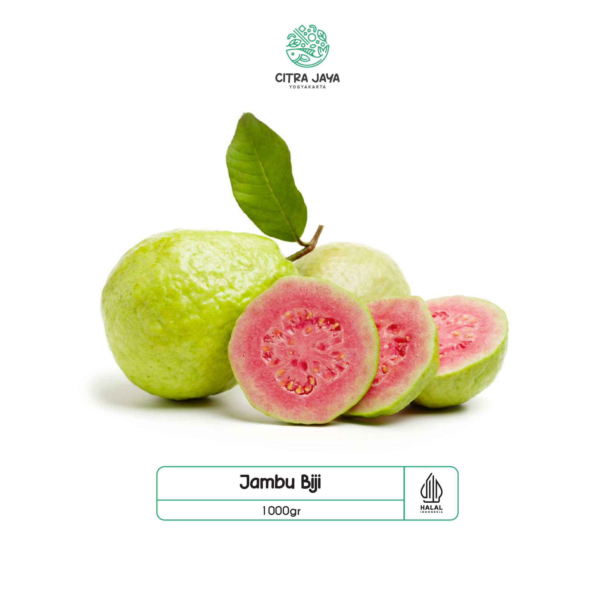 

Jambu Biji 1000g - Citra Jaya Yogyakarta