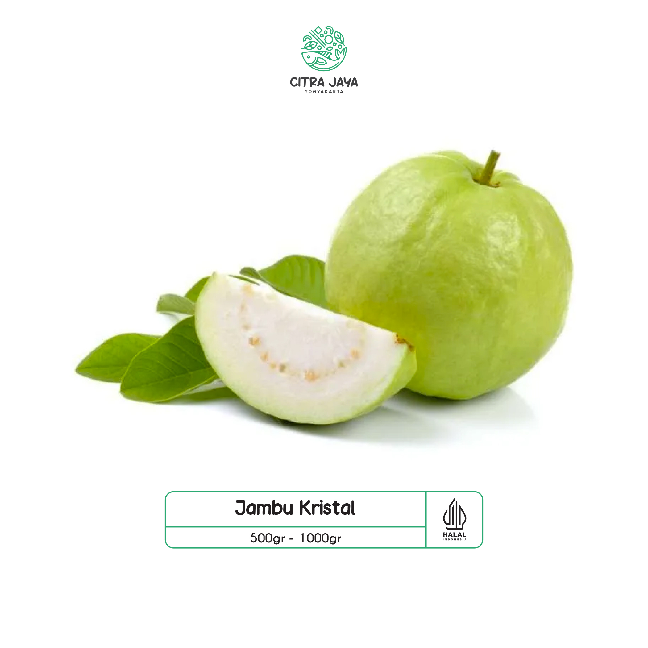 

Jambu Kristal 1000g - Citra Jaya Yogyakarta