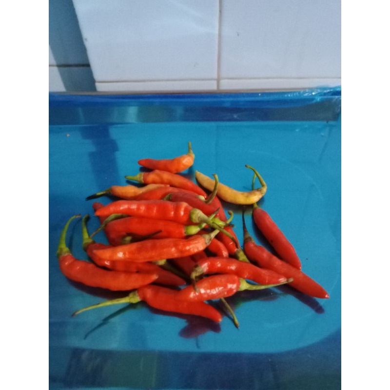 

Cabe Rawit Galak / Cabe Geprek 100gram - 250gram