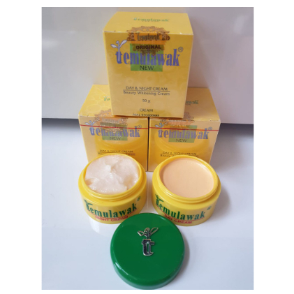 TEMULAWAK ORIGINAL POT CAP POHON