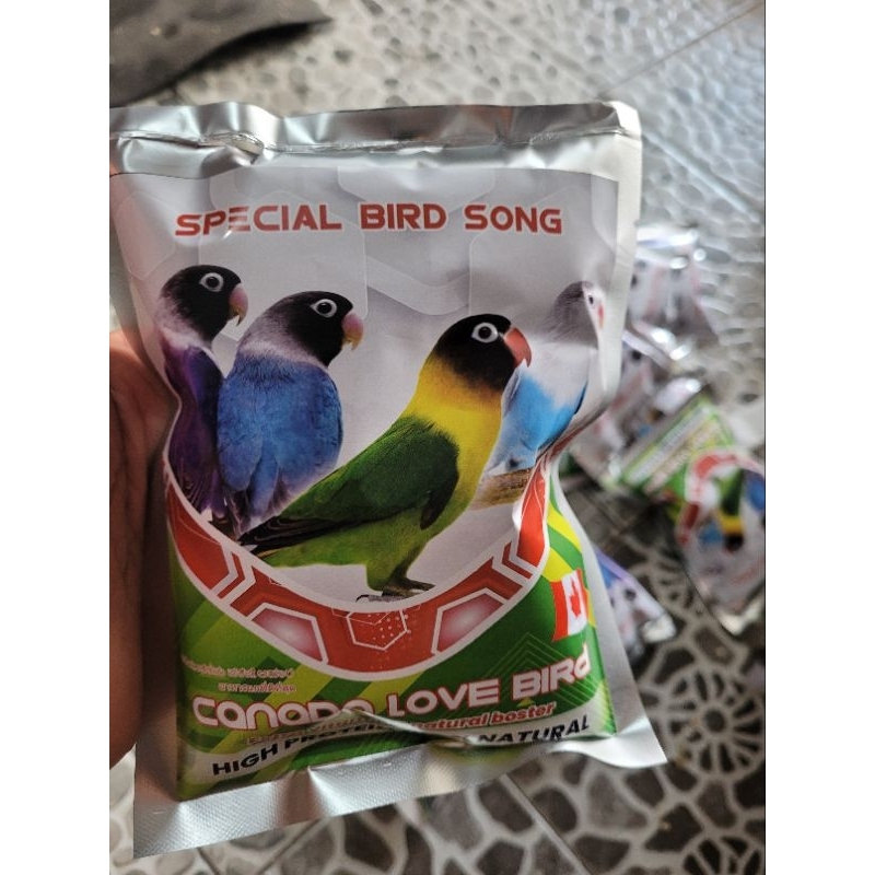 makan love bird falk premium canada prestige