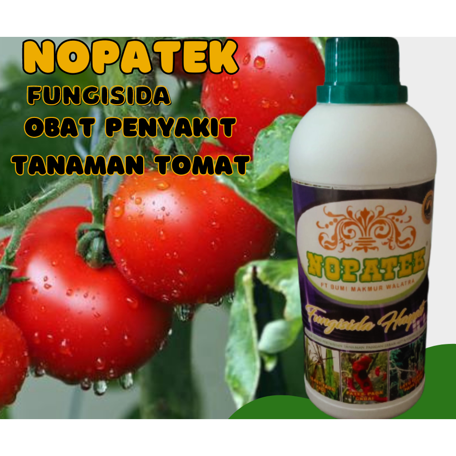 fungisida nopatek obat penyakit tanaman tomat