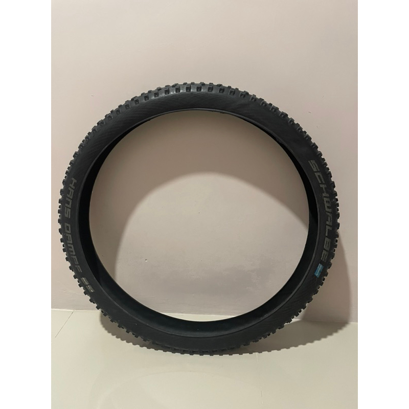 Ban Schwalbe Hans Damf