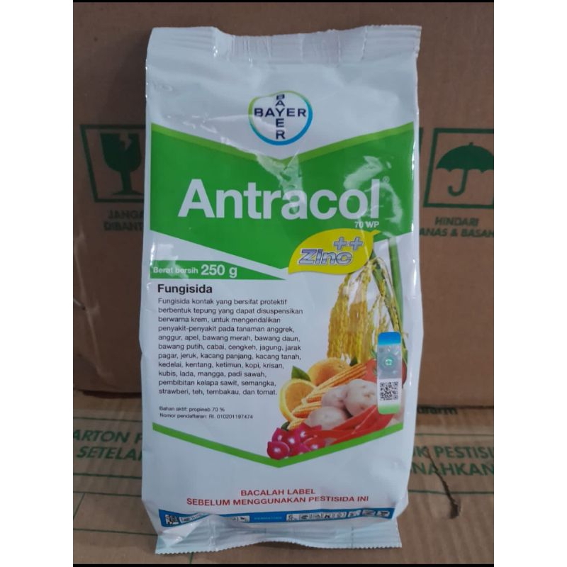 fungisida ANTRACOL 250 GRAM