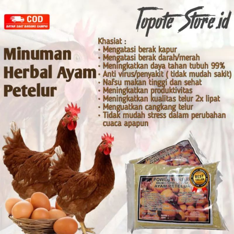 VITAMIN AYAM PETELUR OBAT AYAM PETELUR SUPLEMEN AYAM PETELUR