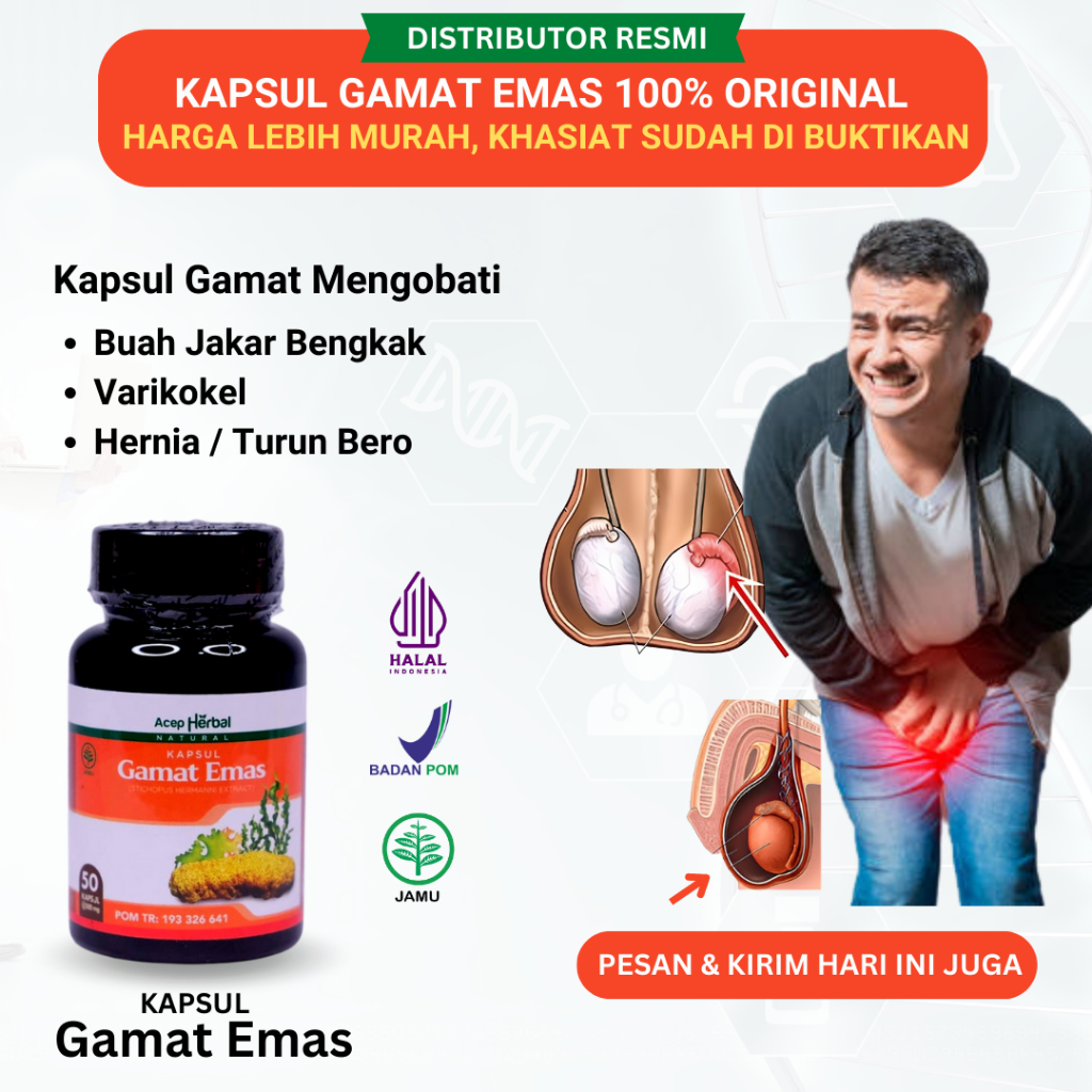 Obat Buah Zakar Bengkak, Obat Buah Zakar Panjang Sebelah, Obat Sakit Buah Zakar, Obat Testis Bengkak