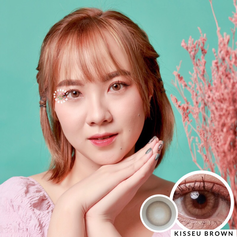 KISSEU BROWN Softlens original korea pusbel korean