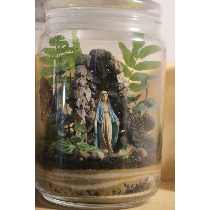 Holy Maria Moss Terrarium Lumut