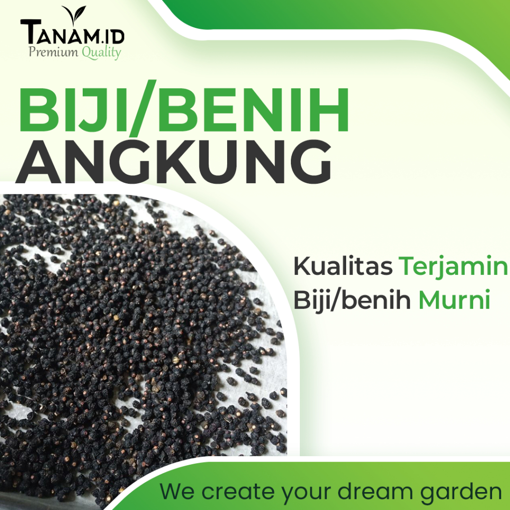 Biji Benih Bibit Angkung / Bayam Malabar Tanaman Herbal Obat Stroke