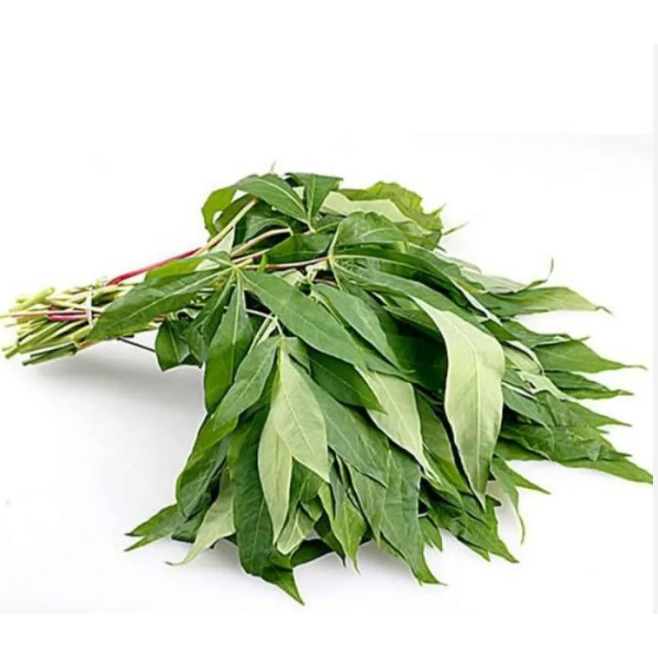 Daun Singkong Segar Sayuran