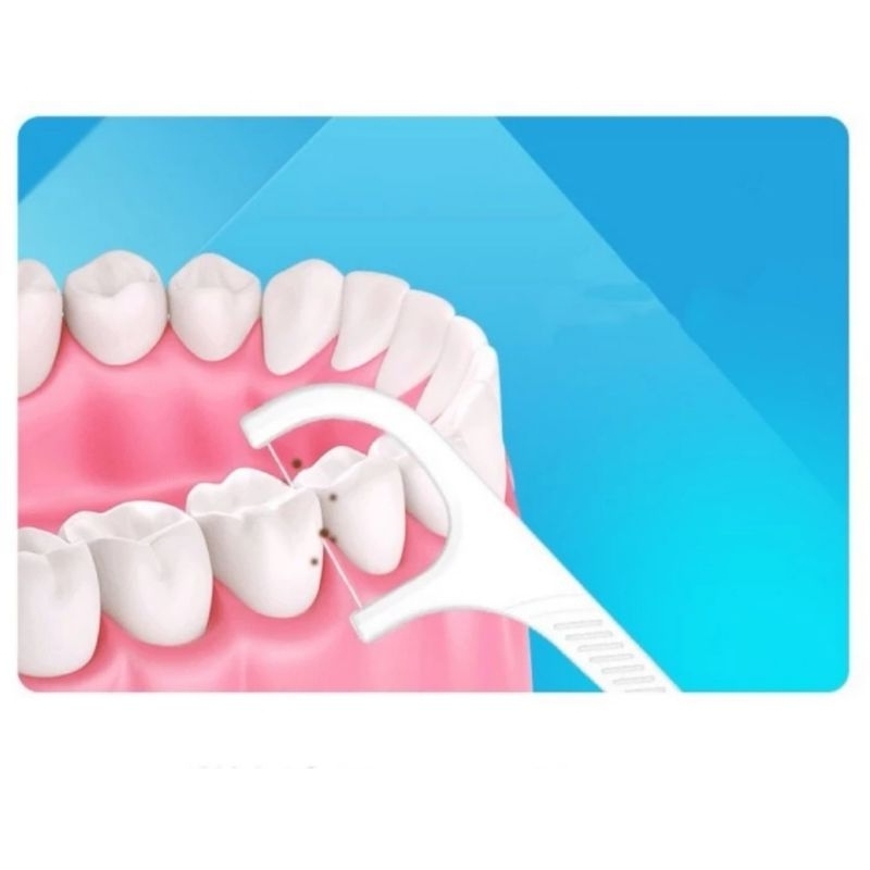 Dental Floss Benang Busur Tusuk Gigi isi 50 pcs FOOD GRADE