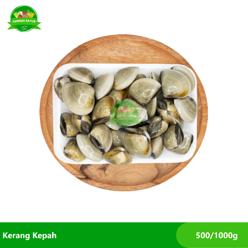 

Kerang Kepah