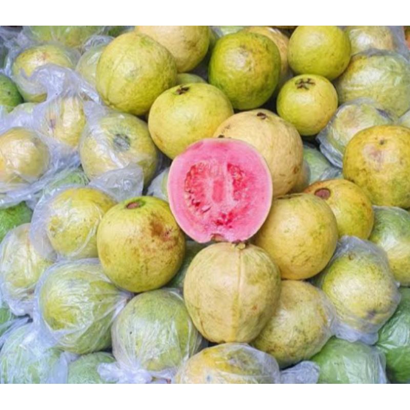 

Jambu biji merah 1kg