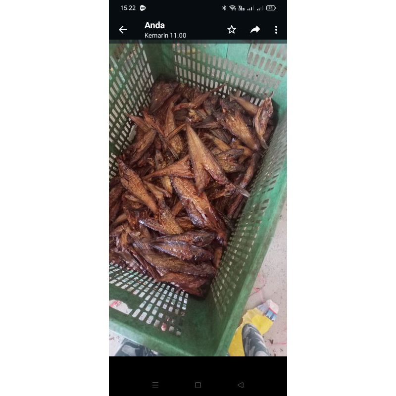 

ikan salai lais pecah (BS)