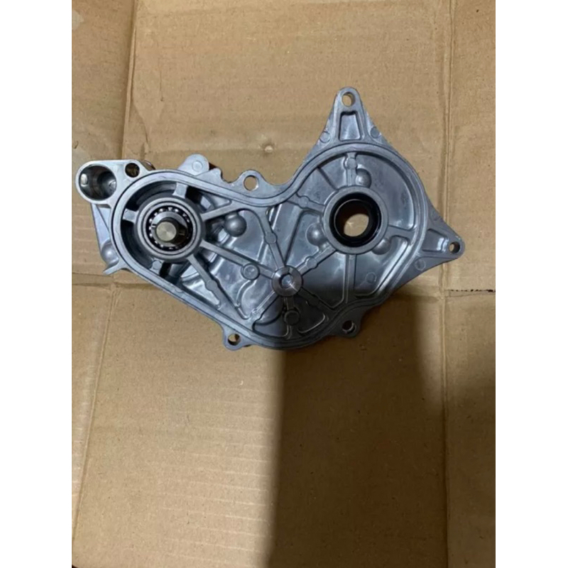 Water Pump Vario 110 Karbu