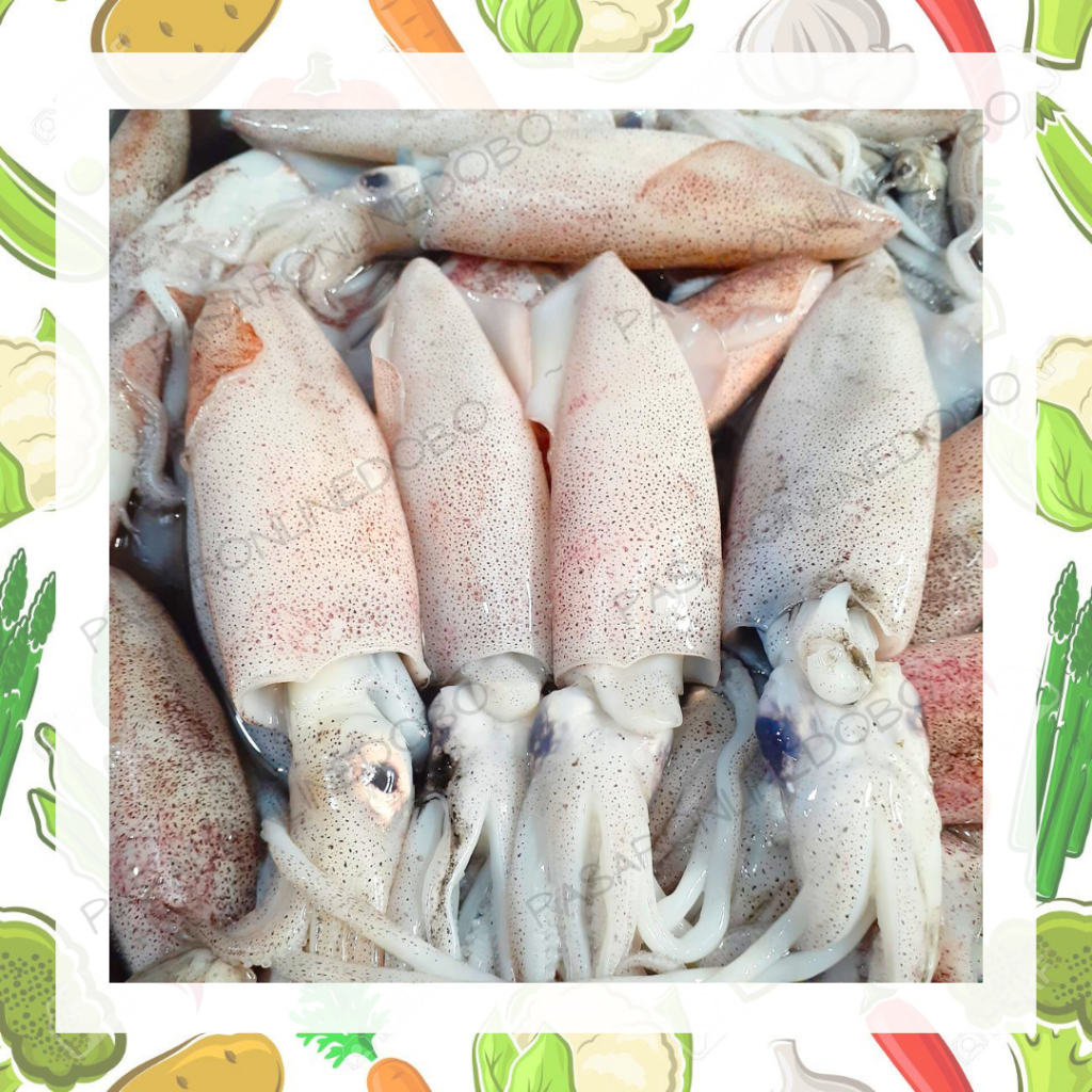 

CUMI TEROPONG SEDANG FRESH