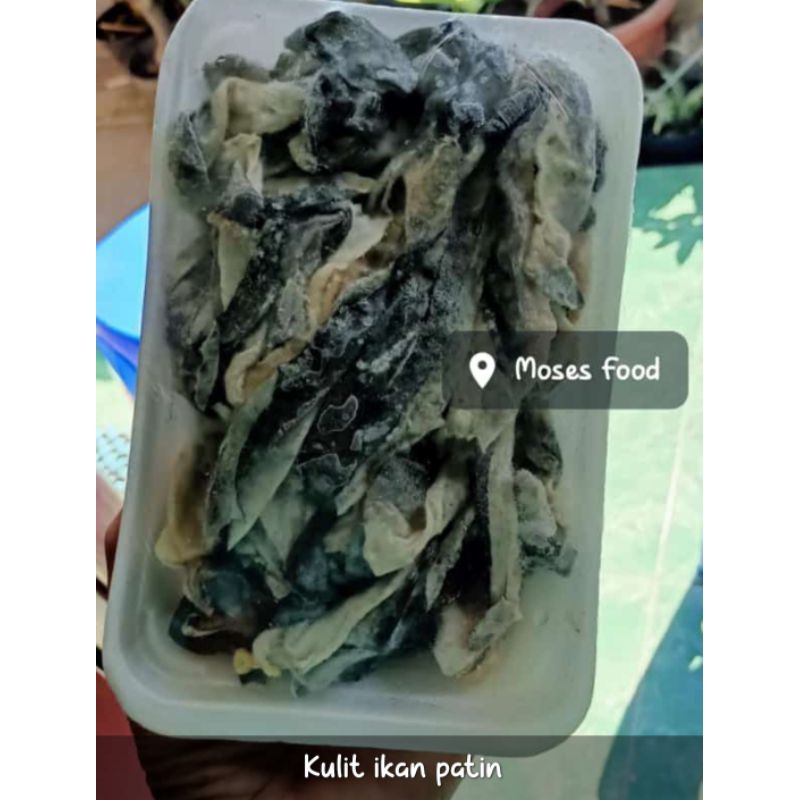 

kulit ikan